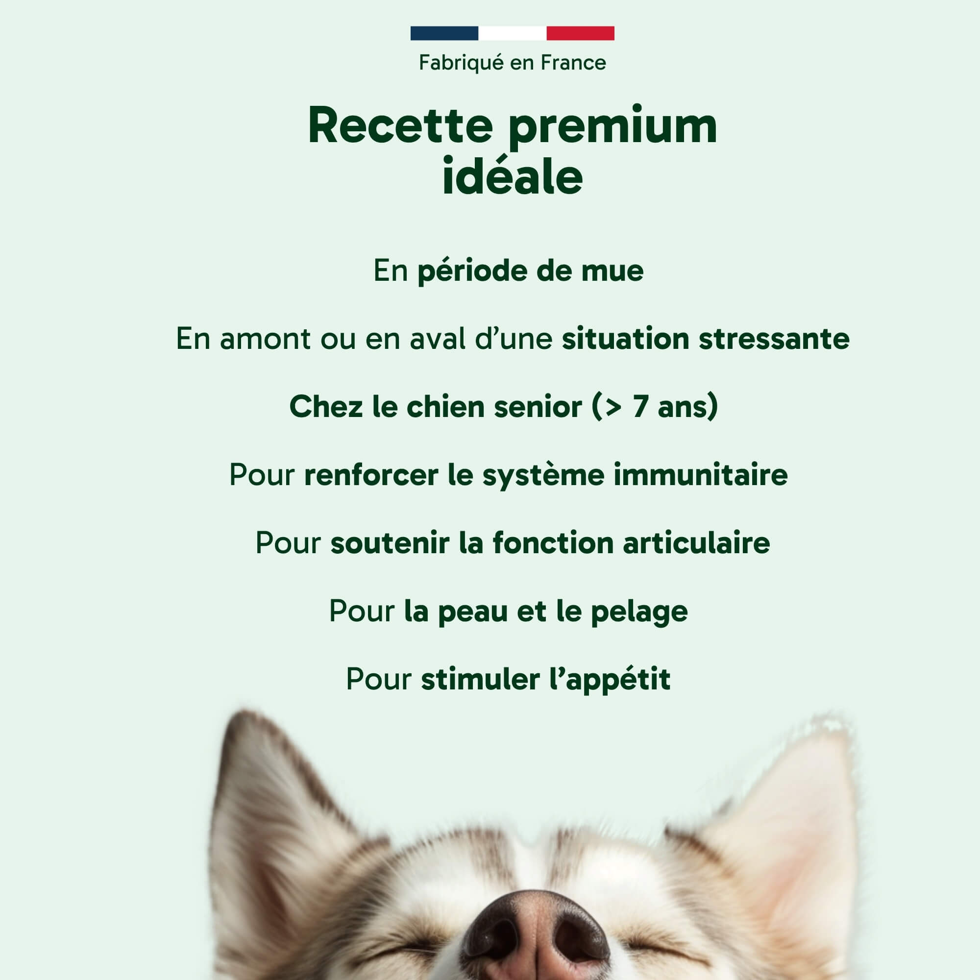 Huile Multi-Action pour chien