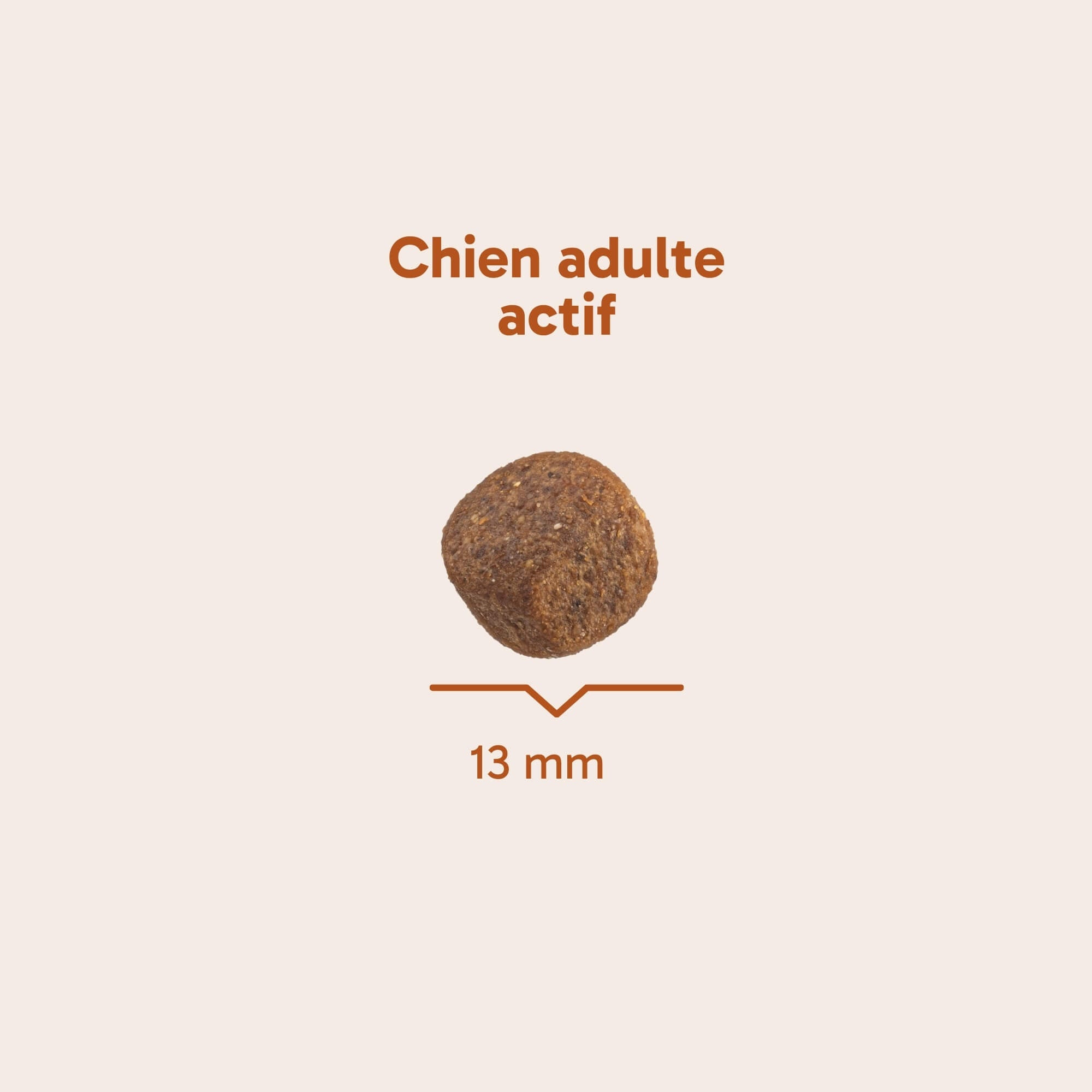Croquettes pour chien actif - saumon