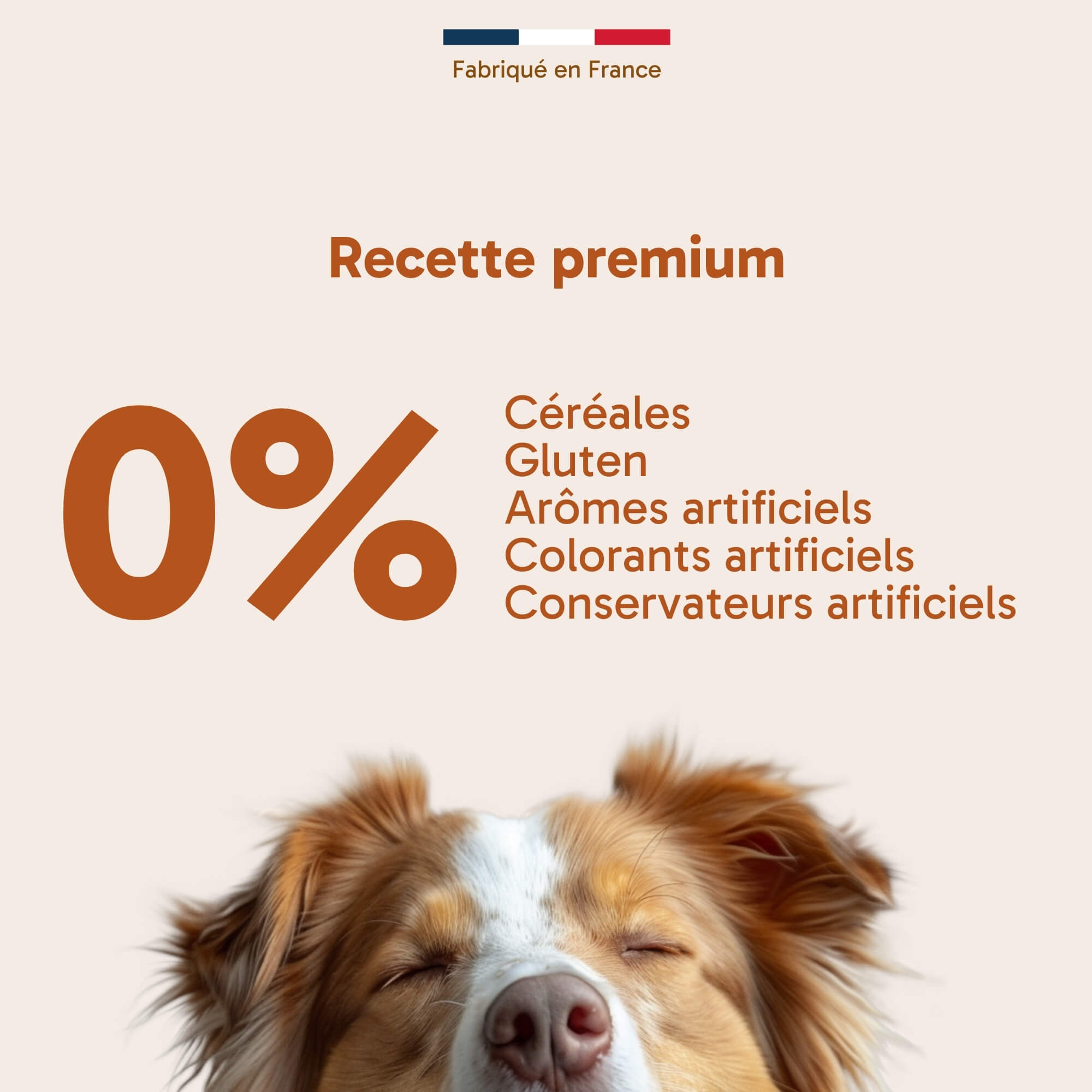 Croquettes pour chien actif - saumon