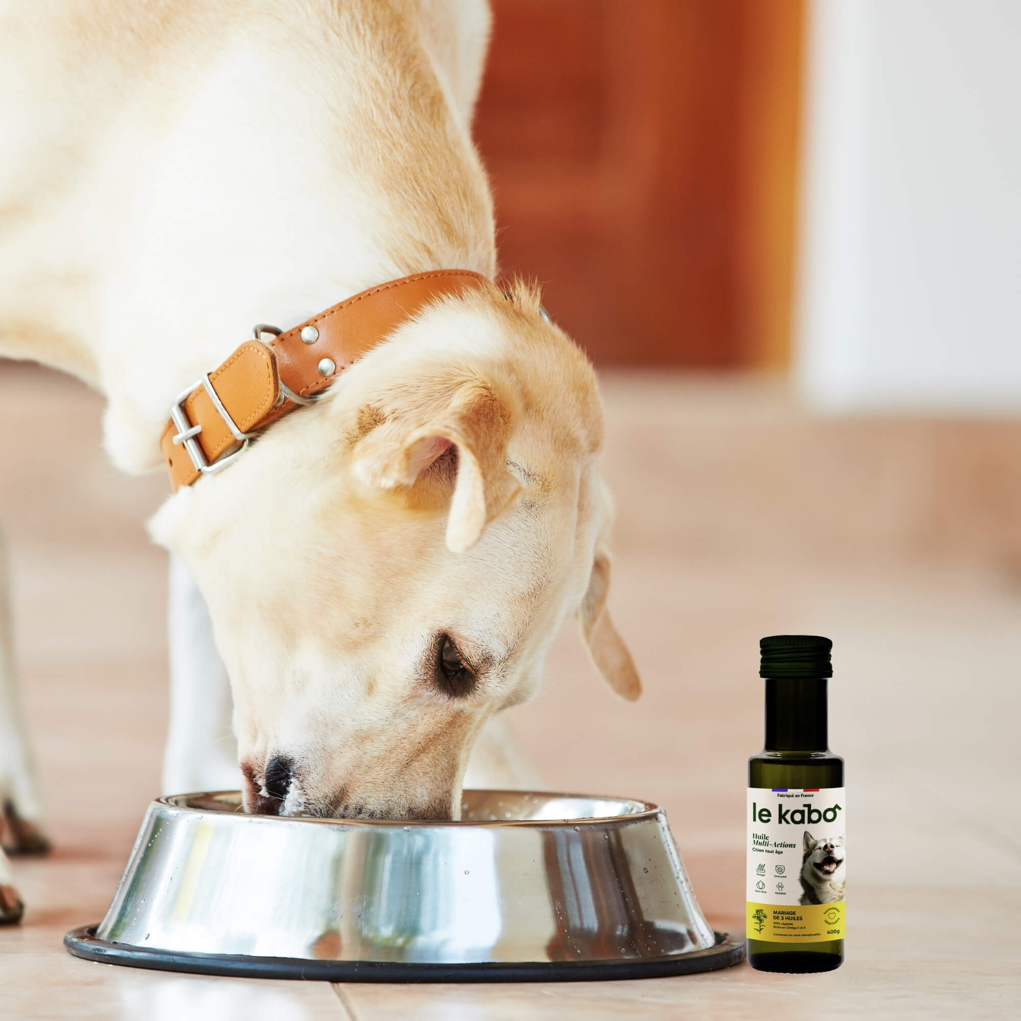 Huile Multi-Action pour chien