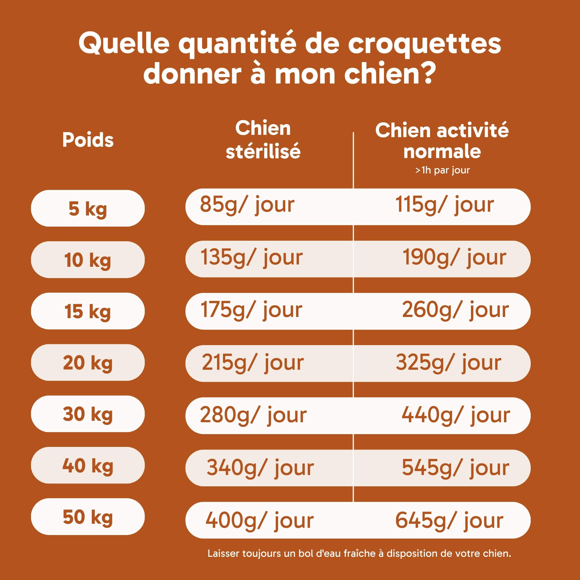 Croquettes pour chien actif - saumon