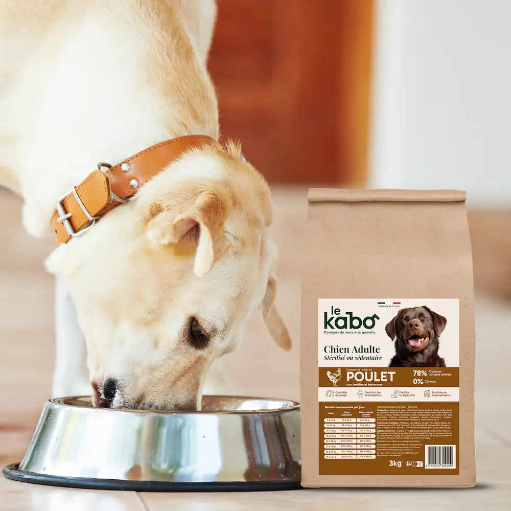 Croquettes pour chien stérilisé - Poulet