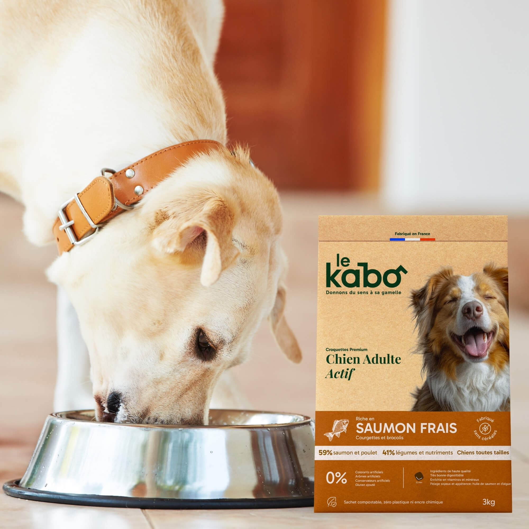 Croquettes pour chien actif - saumon