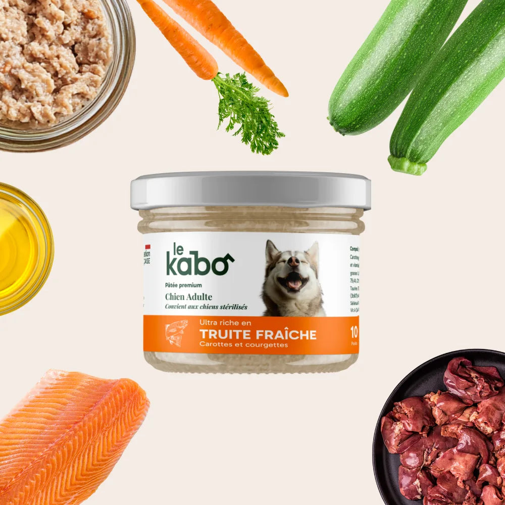Pâtée pour chien - truite fraiche