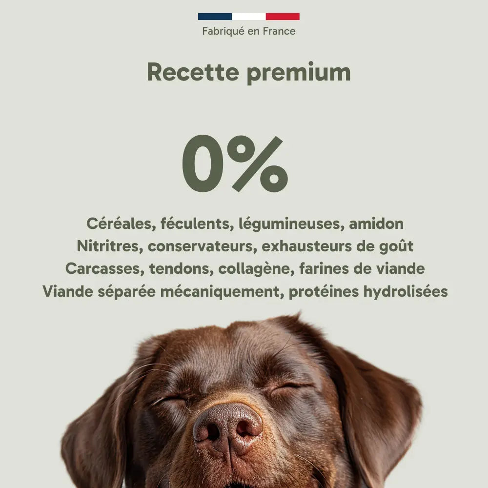 Pâtée pour chien - sanglier frais