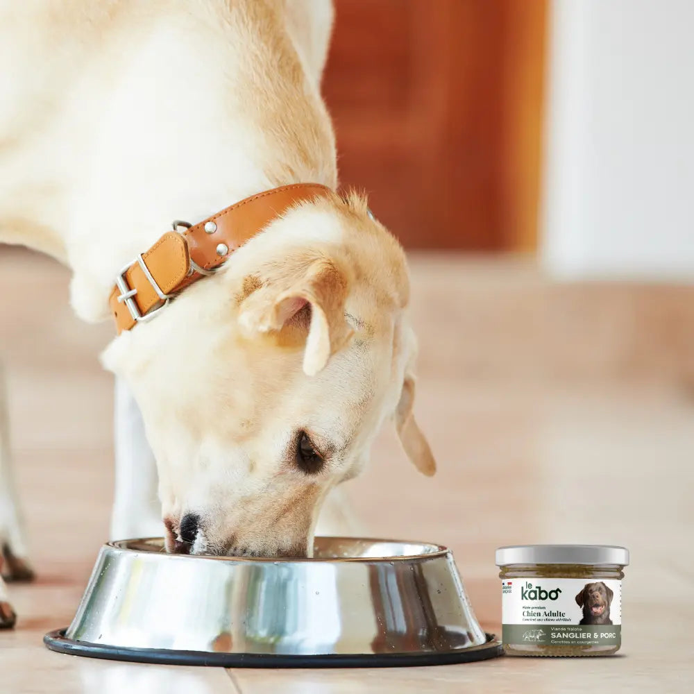 Pâtée pour chien - sanglier frais