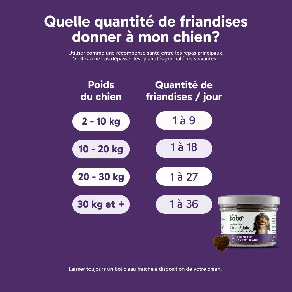Friandises chien adulte ou senior