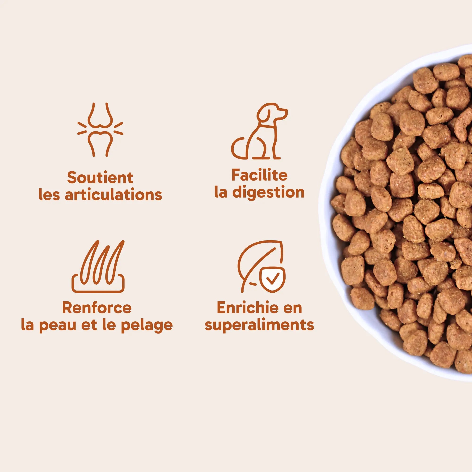 Croquettes pour chien actif - Saumon