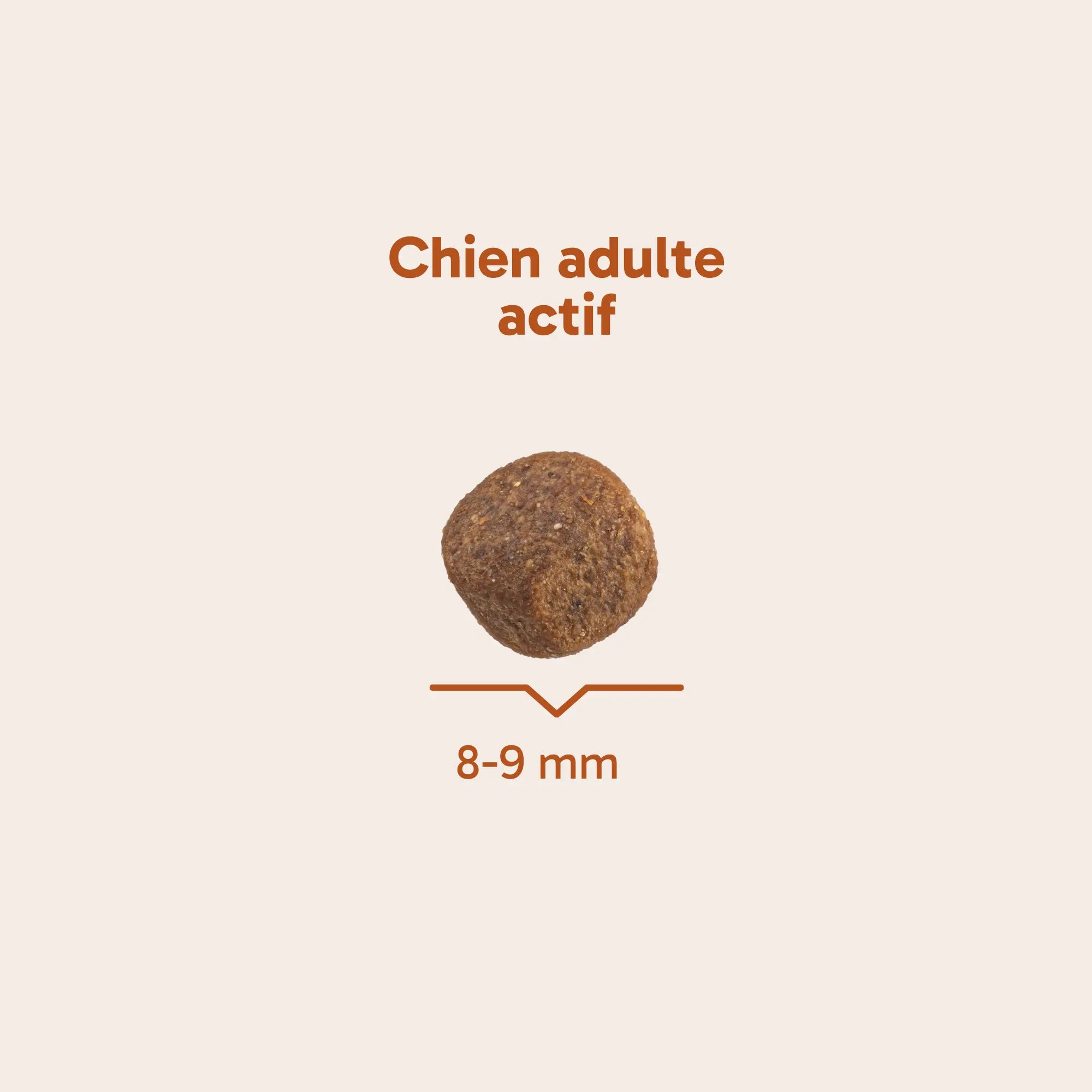 Croquettes pour chien actif - Saumon