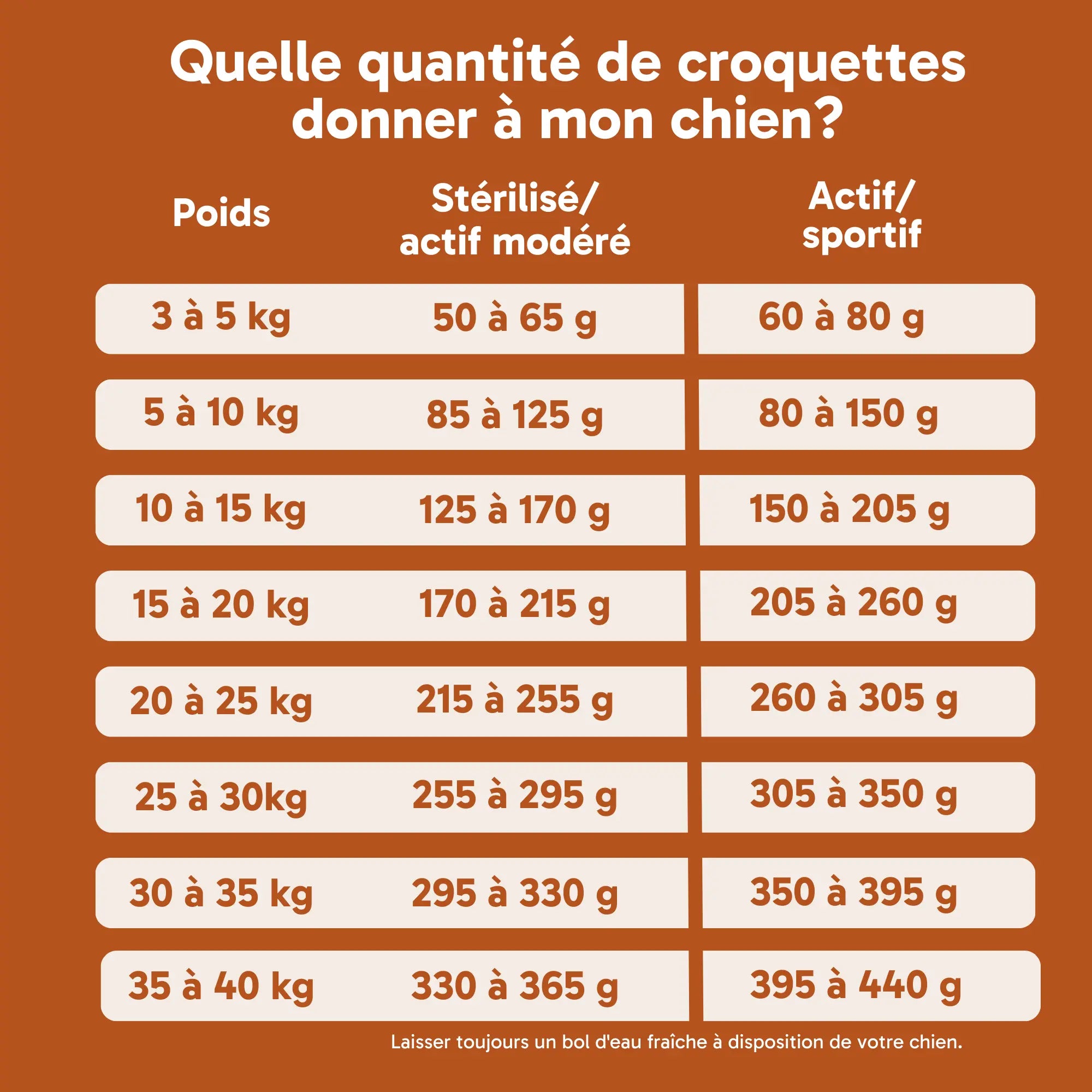Croquettes pour chien actif - Saumon