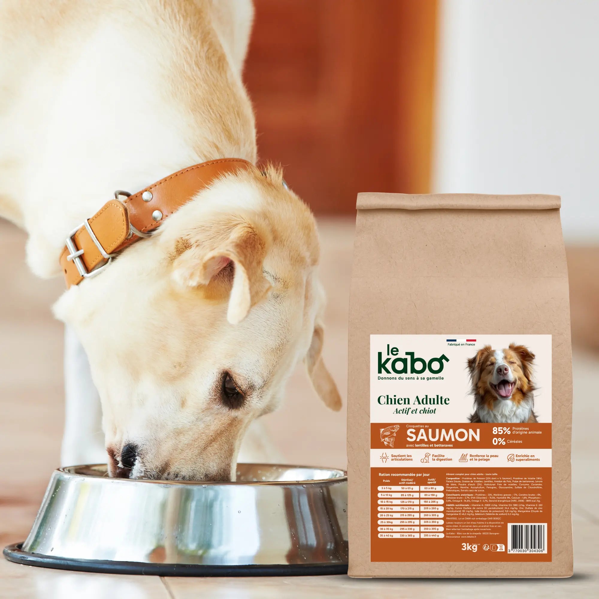Croquettes pour chien actif - Saumon