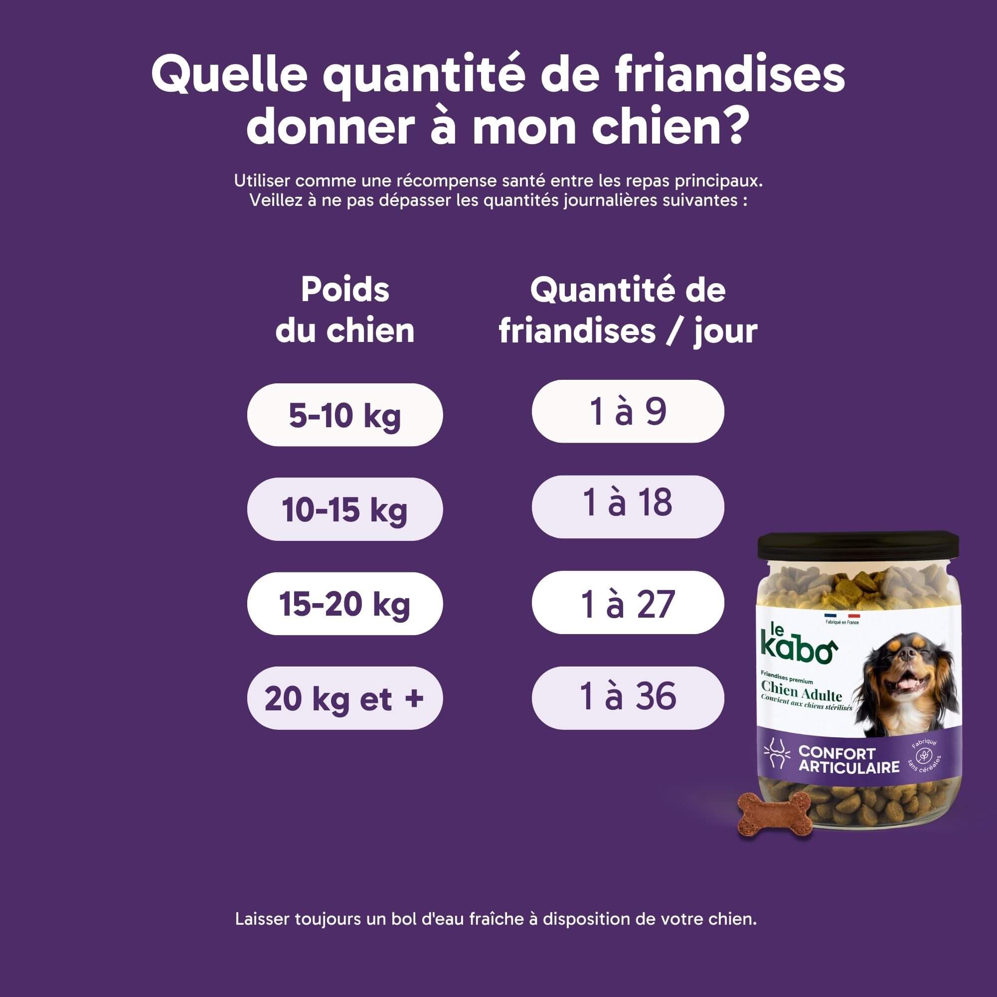 Friandises chien adulte ou senior