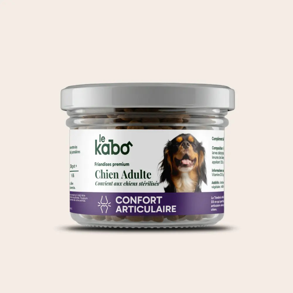 Friandises chien adulte ou senior