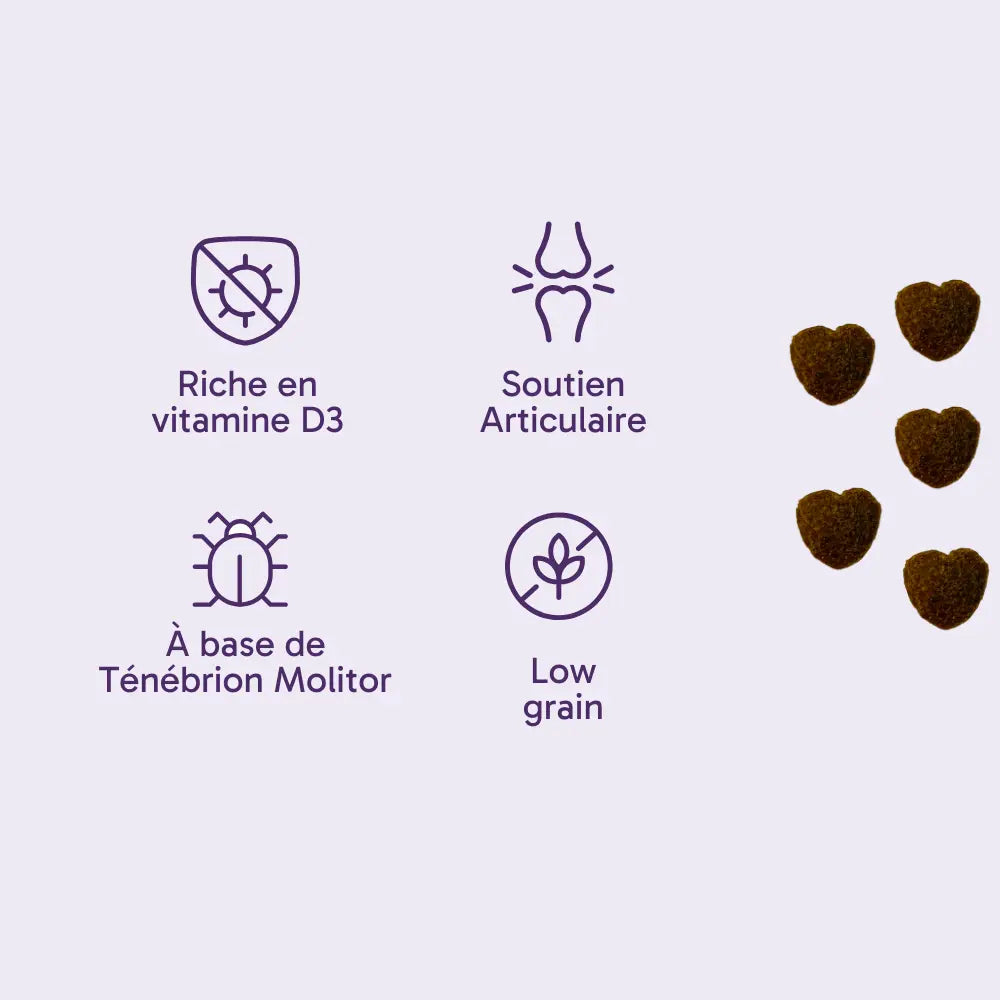 Friandises chien adulte ou senior