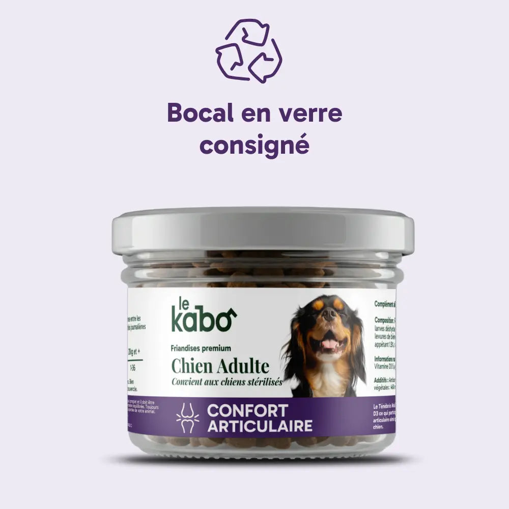 Friandises chien adulte ou senior