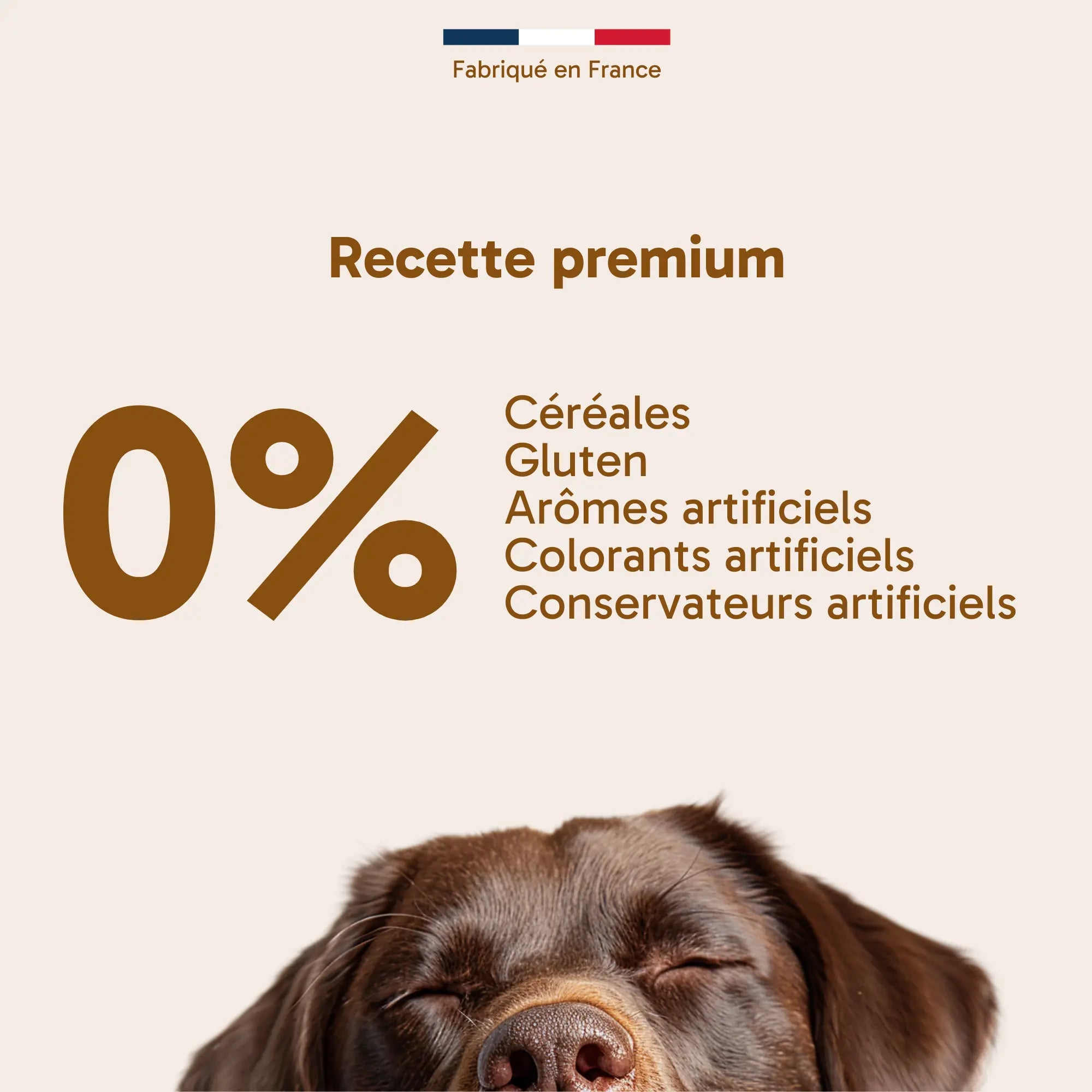Croquettes pour chien stérilisé - Poulet